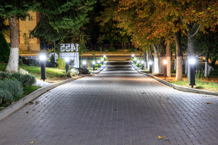 Night illumination of the city sidewalk. Background with selective focus and copy space for textの写真素材