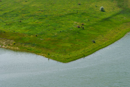 Lake or pond. Background with selective focus and copy space for text.の写真素材