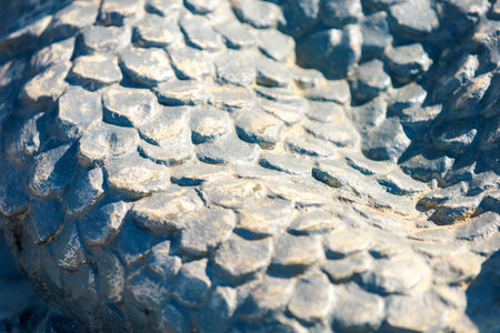 Background with selective focus and copy space for text
