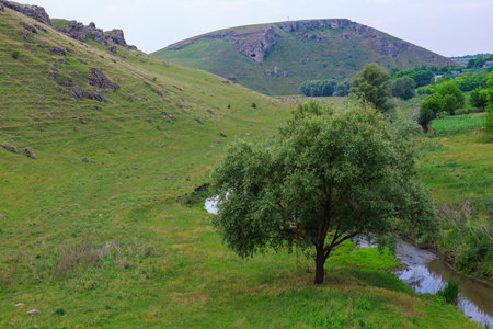 Hilly valley. Background with selective focus and copy space for text.の写真素材