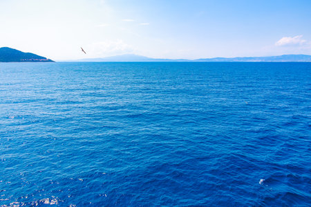 A bird flies over a large body of water. The sky is clear and the water is calmの写真素材