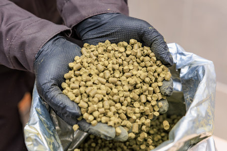 Close-up of gloved hands holding green hop pellets in foil bag for brewing.