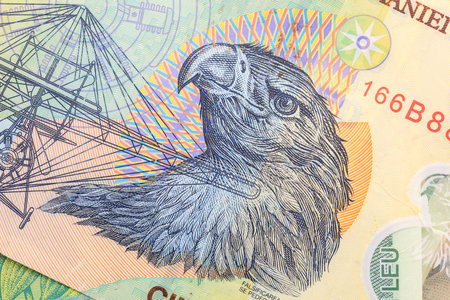 Detailed illustration of bird on colorful banknote design.の写真素材