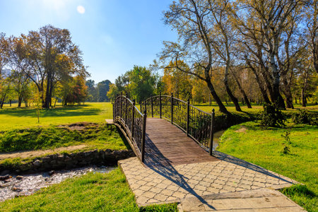 A bridge spans a small stream in a park. The bridge is made of metal and is surrounded by trees. The sky is clear and the sun is shining brightly. The scene is peaceful and sereneの写真素材