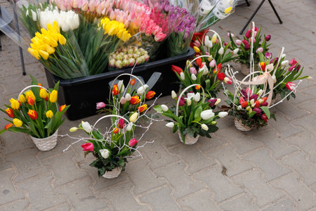 A row of flower baskets with tulips and other flowers are displayed on a sidewalk. The baskets are arranged in a way that creates a sense of order and harmony. The colors of the flowers are brightの写真素材