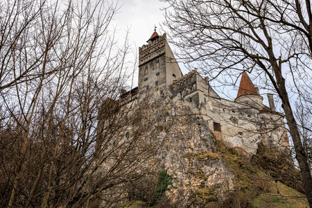 Historic bran castle surrounded by bare trees on a rocky hill during winter.の写真素材