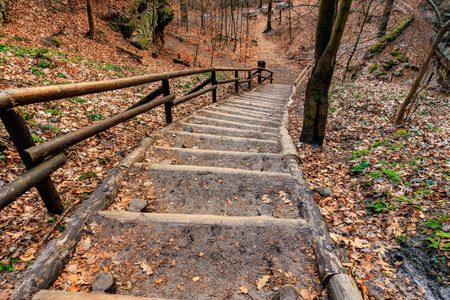 Rustic wooden staircase in autumn forest pathway with fallen leaves.