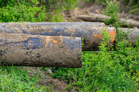 Mud-covered industrial pipes in green forested area with lush vegetation.