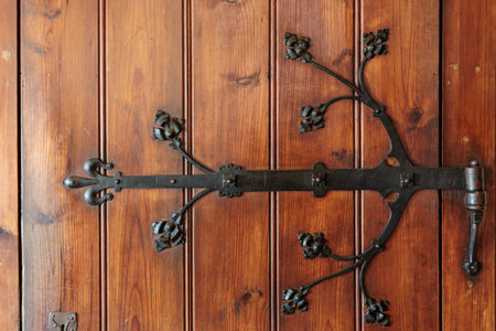 Ornate iron hinge on rustic wooden door with decorative patterns.