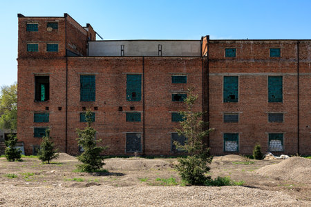 Historic abandoned brick building with windows and small trees in industrial setting.