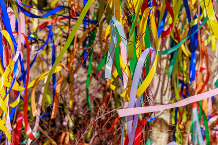 Vibrant multicolored ribbons decorating branches in a festive outdoor setting.の写真素材