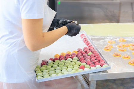 Factory for making dumplings from dough and minced meat. Background with selective focus and copy space for textの写真素材