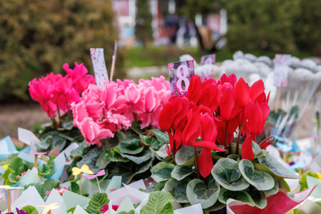 A bunch of red and pink flowers with the number 8 on them. The flowers are arranged in a vase and are placed on a tableの写真素材