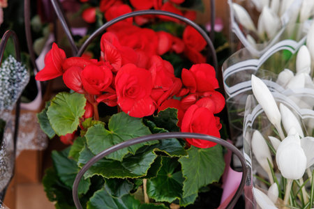 bunch of red flowers are in a basketの写真素材