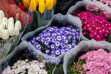 A bouquet of flowers with a mix of colors including pink, blue, and white. The flowers are arranged...