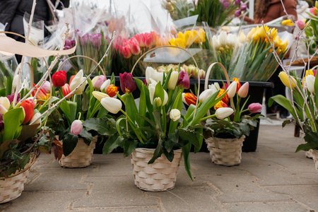 A bunch of flowers are displayed in baskets, with some of them being tulips. The flowers are arranged in various colors and sizes, creating a vibrant and lively atmosphereの写真素材