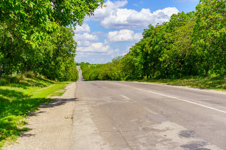 A road with trees on both sides and a clear blue sky. The road is empty and there are no cars on itの写真素材