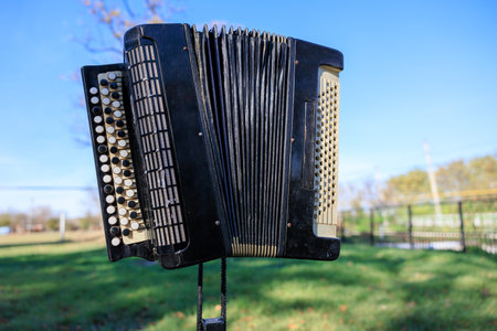 A black accordion is sitting on a grassy field. The accordion is black and white with a white handle. The scene is peaceful and serene, with the accordion standing alone in the grassの写真素材