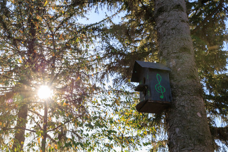 A birdhouse with musical notes painted on it is sitting on a tree branch. The sun is shining brightly, creating a warm and inviting atmosphereの写真素材