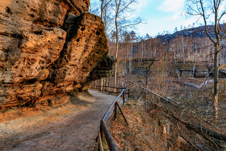 Scenic forest pathway with rock formation in autumn.の写真素材