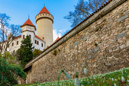 Historic medieval castle with stone walls and red towers on a bright day.の写真素材