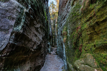 Narrow rocky passage in a mossy forested canyon with sunlit trees above.の写真素材