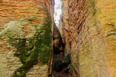 Narrow sandstone passage with sunlight and mossy walls in scenic natural canyon.の写真素材