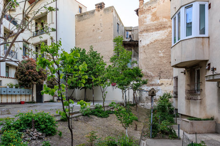 Urban courtyard with plants and historic buildings in a residential area.の写真素材