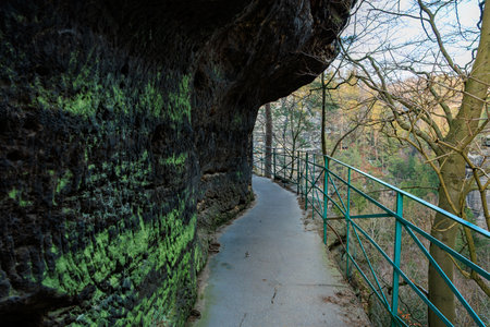 Scenic narrow pathway along rocky cliff with moss and railings in forested area.の写真素材