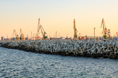 Coastal industrial port with cranes and breakwater at sunset.の写真素材
