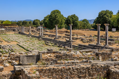 A large, empty courtyard with a lot of columns and a few trees. The atmosphere is somewhat desolate and abandoned. Ruins of the ancient city of Philippi, Greeceの写真素材