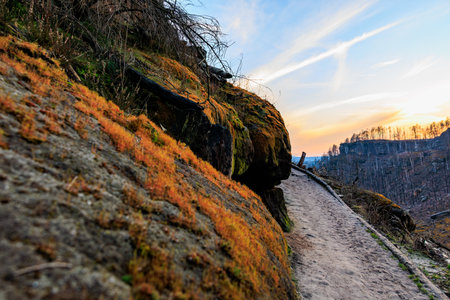 Scenic hiking path through rocky landscape with vibrant moss at sunset.