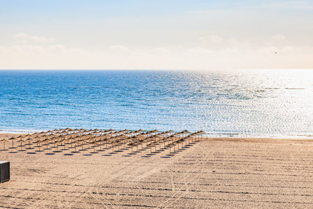 Empty sandy beach with straw umbrellas under clear sky and tranquil ocean view.の写真素材