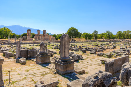 A vast, open field filled with numerous stone pillars and a few trees scattered throughout. Ruins of the ancient city of Philippi, Greeceの写真素材