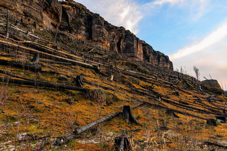 Rocky cliff with fallen trees on a hillside under blue sky at sunset.の写真素材