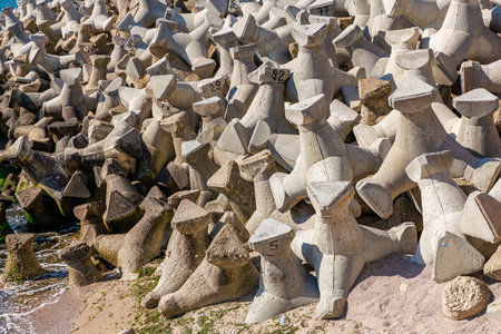 Concrete tetrapods on coastal shoreline for erosion control.の写真素材