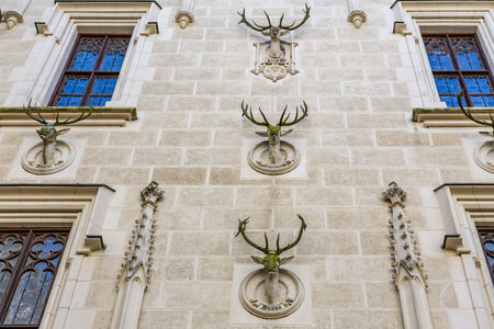 Stag sculptures on historic european building facade with ornate windows.の写真素材