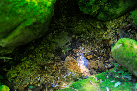 A small stream of water is surrounded by rocks and moss. The water is clear and the rocks are brown. The moss is green and covers the rocks. The scene is peaceful and sereneの写真素材