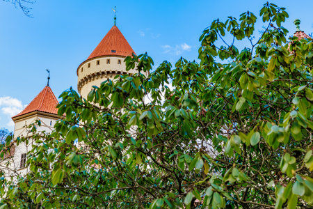 Historic stone castle towers behind lush greenery under blue sky.の写真素材