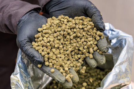 Gloved hands holding fresh green hops pellets.