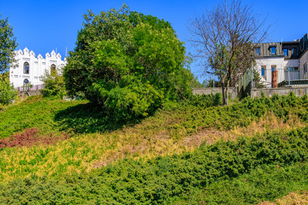 Lush hillside landscape with trees and residential buildings under clear blue sky.