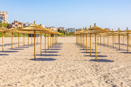 Sunny beach with straw umbrellas at sandy coastline.の写真素材
