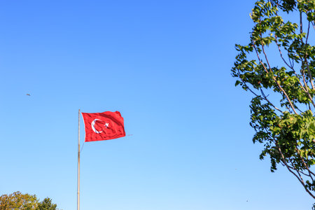 Turkish flag waving against clear blue sky with partial tree view.の写真素材