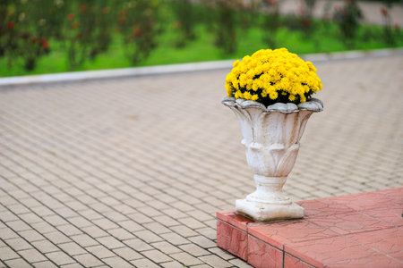 White vase filled with yellow flowers sits on a brick walkway. The scene is peaceful and sereneの写真素材