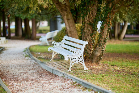 White metal bench in tranquil park setting surrounded by trees and pathways.