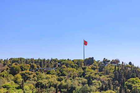 Turkish flag towering above green forest landscape on a clear day. August 12, 2025 Istanbul Turkey.のeditorial素材