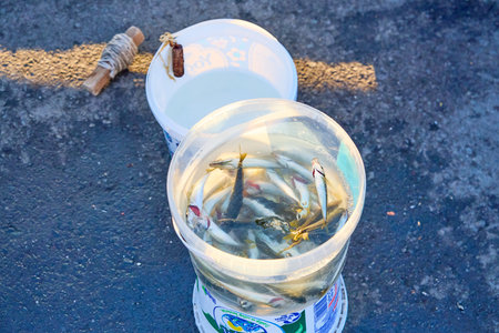 Freshly caught fish in buckets on pavement with fishing tackle. August 10, 2025, Istanbul Turkey.のeditorial素材