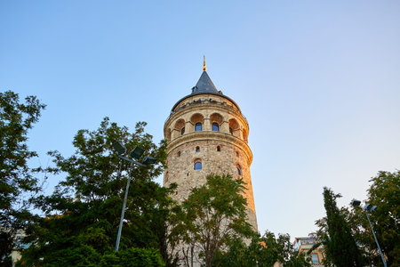 Galata tower surrounded by lush greenery at sunset.