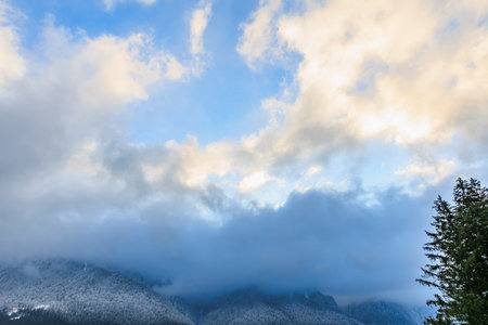 Snow-capped mountains under blue sky with cloudy horizon and pine trees.