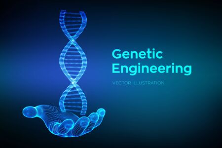 DNA sequence in hand. Wireframe DNA molecules structure mesh. DNA code editable template. Science and Technology concept. Vector illustrationのイラスト素材